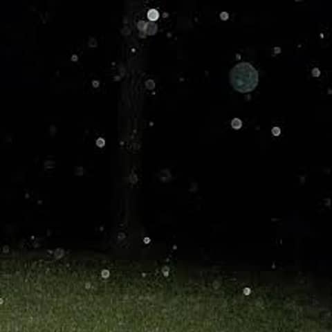 BEST OF (#22 of 465) ORBS:: A 'SPIRIT' ED DEBATE & ONE OF NATURE'S GREATEST UNSOLVED MYSTERIES