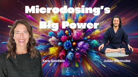 🌌 Trauma Healing & Psychedelics: Rediscovering Wholeness | Julian Bermudez