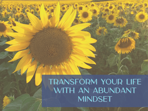 The Abundance Mindset: How It Can Transform Your Life The Abundance Mindset: How It Can Transform Your Life