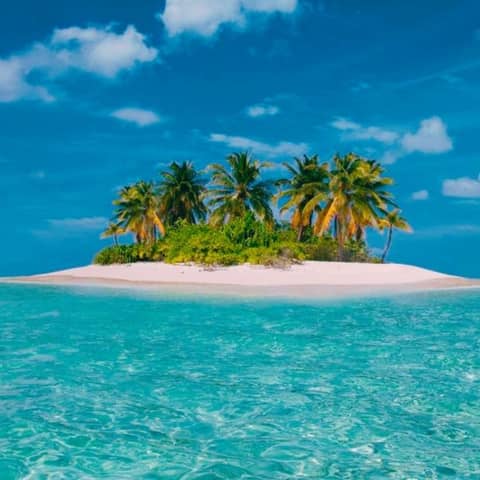 Episode of Requirement: The Wilsons' Desert Island Picks!