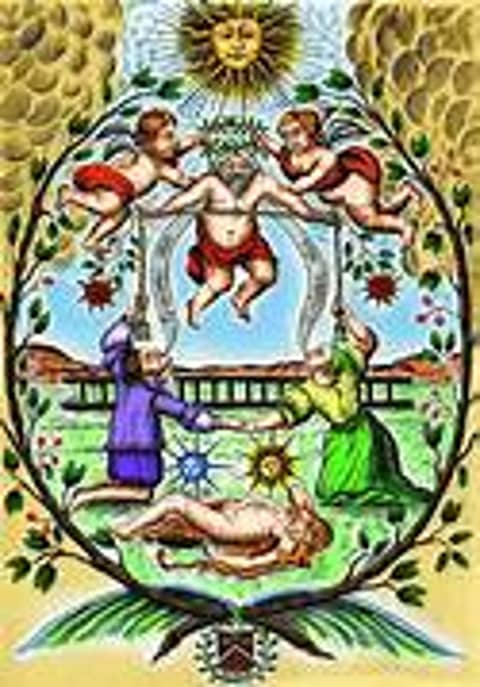 "Mutus Liber" is a Latin phrase that translates to "Silent Book" or "Mute Book