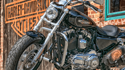 Case Studies of Successful Brand Communities: From Apple to Harley-Davidson