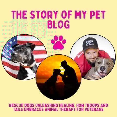 Rescue Dogs Unleashing Healing: How Troops and Tails Embraces Animal Therapy for Veterans
