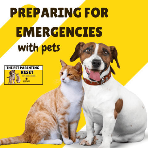 Preparing For Emergencies With Pets