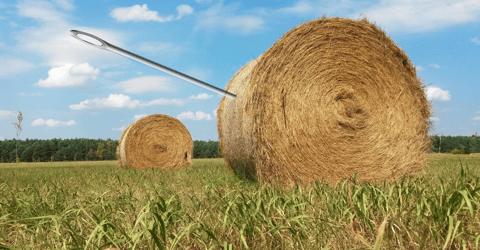 Dear College Senior: Here's Some Advice for Your First Job After College