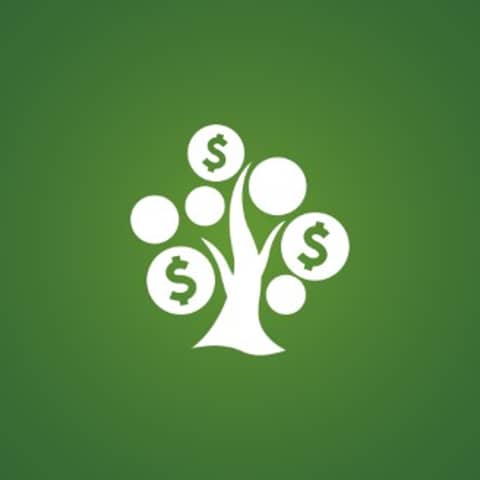 Bestselling Author Leisa Peterson Reveals The Money Truth You Were Never Supposed To Know