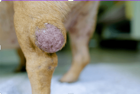 Another look at surgical margins for soft tissue sarcoma