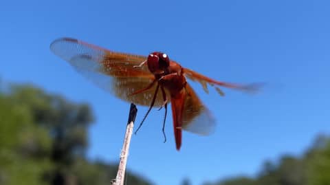 August Newsletter - Embracing resistance and then letting it go while you sleep