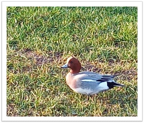 The Darkest of Nights