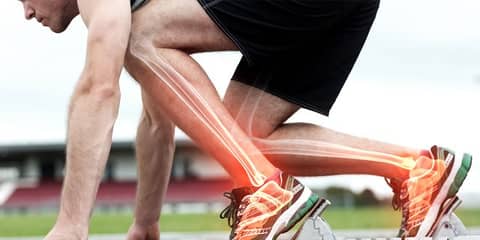 Mechanism by which exercise strengthens bones and immunity
