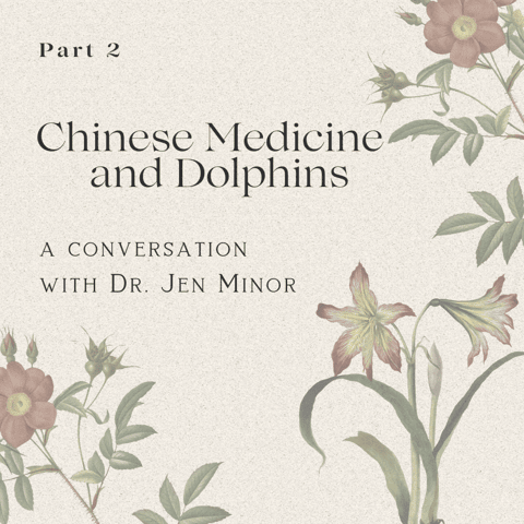 Part 2: Chinese Medicine Applications and Dolphins with Dr. Jen Minor
