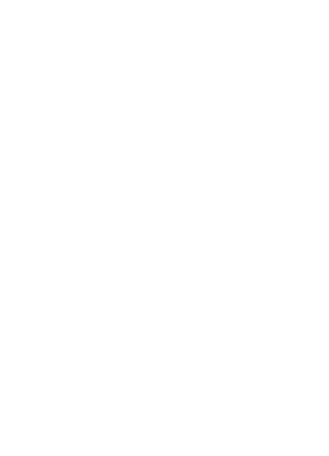 Welcome to the Brass Eagle Logo