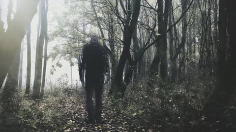 Watched in the Woods