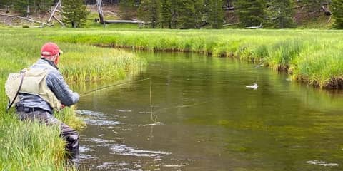 Fly Fishing Simplicity in Yellowstone Country with Craig Matthews
