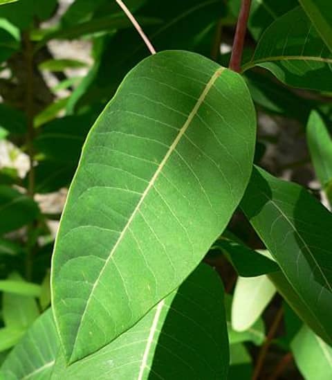 This is more complicated than I expected