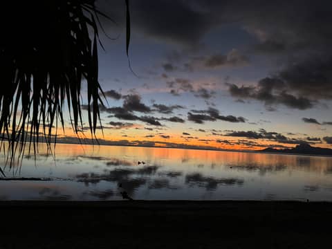 EP77: Island Flavors: A Tahitian Brunch Experience with Tia