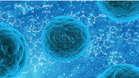 One Measles Death Is Too Many One Measles Death Is Too Many