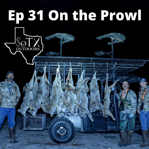 Ep 31 On the Prowl