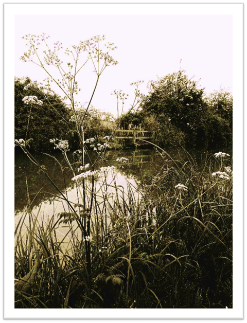 This one unremarkable dusk