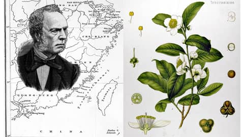 S3-E31 - The “Tea Thief” - Robert Fortune's Very Brief Trip to Taiwan (1854)