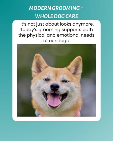 Modern Pet Grooming: Prioritizing Pets' Physical and Emotional Well-being