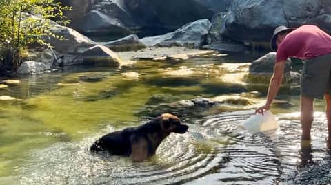 watering the berries