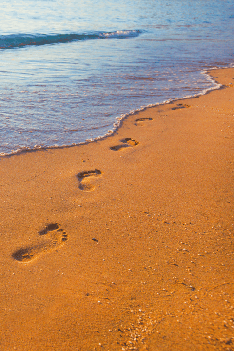 What Does A Footprint Tell About Me? What Does A Footprint Tell About Me?