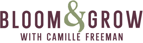 In the Clinic with Camille Logo