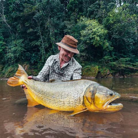 Jaguars, Tapirs, and Golden Dorado in Bolivia with Marcelo Perez