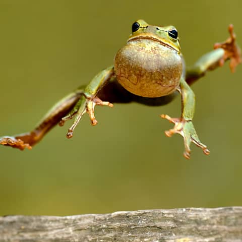 Secondhand Embarrassment