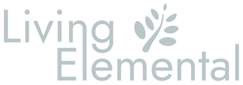 Braving the Elements Podcast with Tracy James Logo