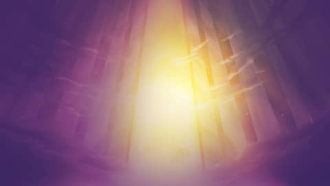 Digital Immortality and Your Social Media Afterlife with Dr. Elaine Kasket