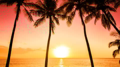 Tropic Wonder (Part 2): The Journey Begins – Travel Story from Winter to Warm Sun