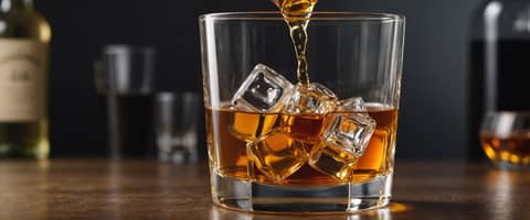 LGBTQ+ Alcoholism: Unpacking Societal Challenges, Cultural Factors, and the Path to Recovery