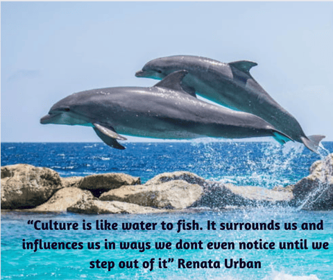 Adaptability: An Essential Skill