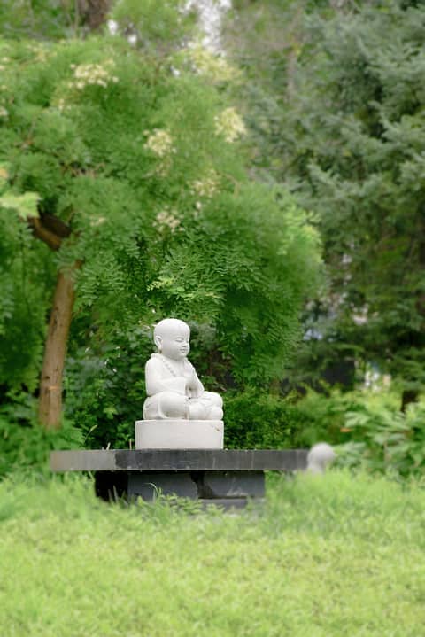 The Healing Power of Forgiveness: Free Your Heart and Reclaim Your Peace The Healing Power of Forgiveness: Free Your Heart and Reclaim Your Peace