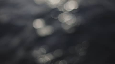 He Gives Us the Freedom of Grace