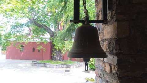 Despre boală - o limbă străină