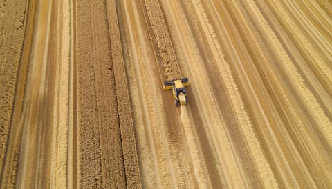 MATIF Weizen Futures