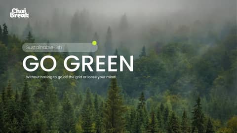 Sustainable-ish: Figuring Out How to Live Green Without Going Off the Grid