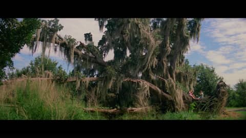 Review: The Florida Project (2017)