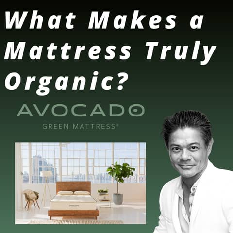 Avocado Mattress - What Makes a Mattress Truly Organic?