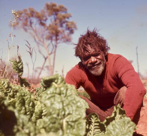 Maudie, Alice, and the Flower Well Mob: Brief Voices of First Australians, Deserts Apart