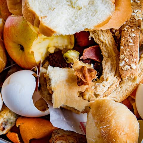 Tackling Food Waste and Poverty: What Plan Zheroes is Doing Today