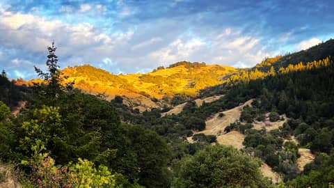 October Newsletter - How do we cultivate intuition and use it to find peace?