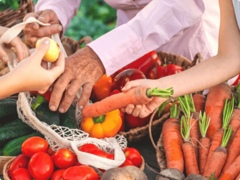 Memory and Cognitive Longevity: Astrocytes Memory and Cognitive Longevity: Astrocytes