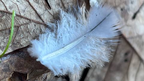 the beauty around us