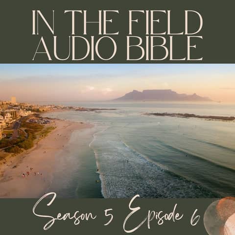 Anchored in Faith: Apostle Peter's Path to Divine Promises