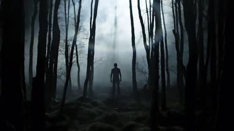 Creeper in the Woods