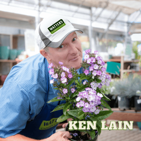 EP 177: TALES FROM THE MOUNTAIN GARDENER WITH KEN LAIN